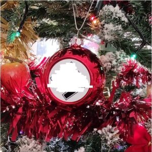 Boule de Noël – Swastika